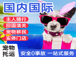 抚远东极机场托运国际宠物托运 【国